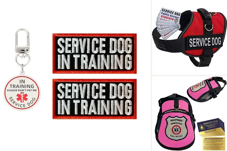 Detailed view of Best ADA Compliant Dog Gear: Top Picks for Safety & Comfort