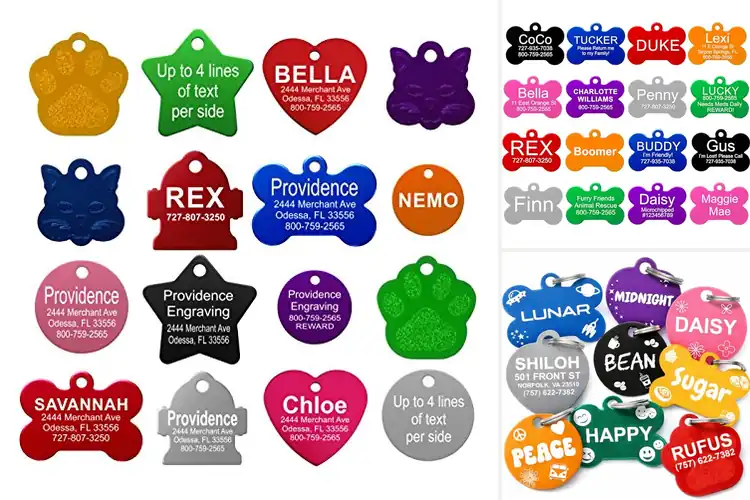 Detailed view of Best Aluminum Dog ID Tags: Top Picks for Safety & Style