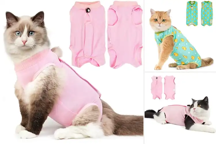 Detailed view of Best Cat Surgery Onesies