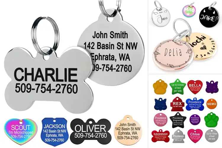 Detailed view of Best Custom Engraved Pet Tags: Keep Your Pet Safe & Stylish