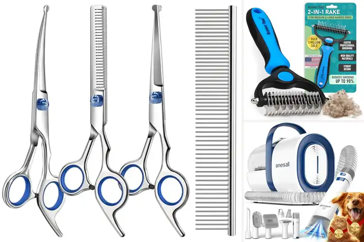 Detailed view of Best Grooming Tools: Top 10 Picks for a Healthy, Shiny Coat