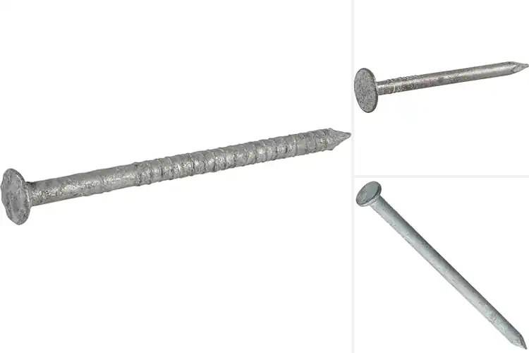 Detailed view of Best Hot Dipped Galvanized Nails
