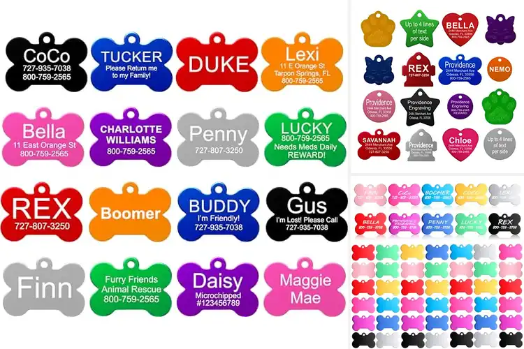 Detailed view of Best Laser Engraved Pet Tags