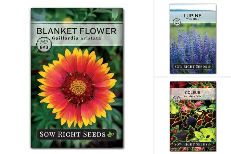Detailed view of Best Licensed Nursery Seeds: Grow Thriving Gardens Easily