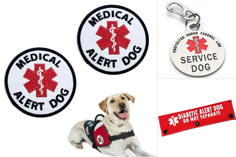 Detailed view of Best Medical Alert Dog Accessories: 10 Must-Have Picks