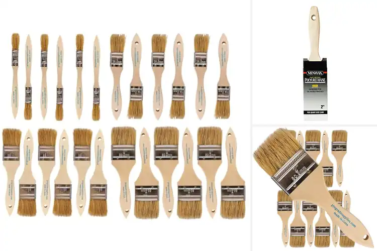 Detailed view of Best Natural Bristle Brushes