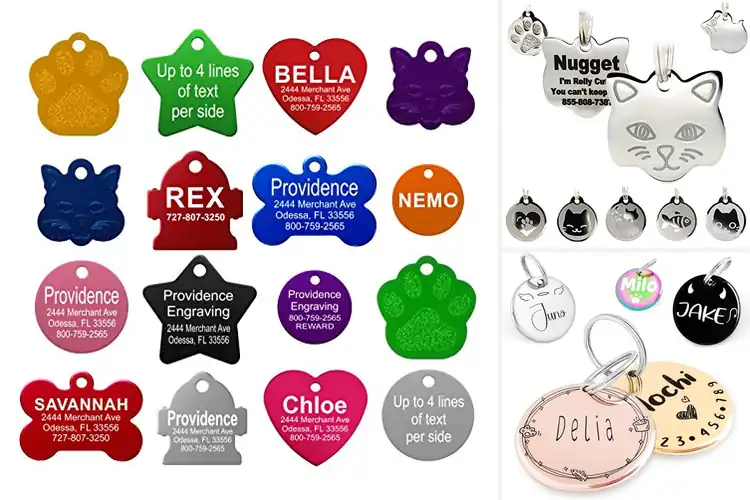 Detailed view of Best Personalized Cat ID Tags