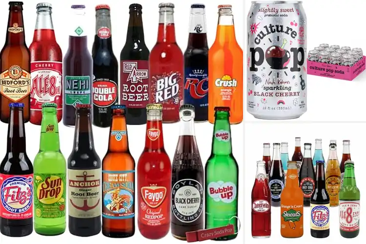 Detailed view of Best Soda Multipacks: 10 Refreshing Picks for Bold Flavors